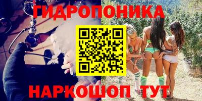 apvp Гусев