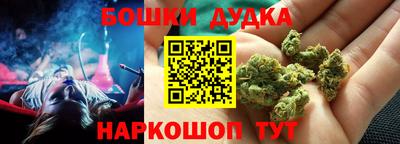 apvp Гусев