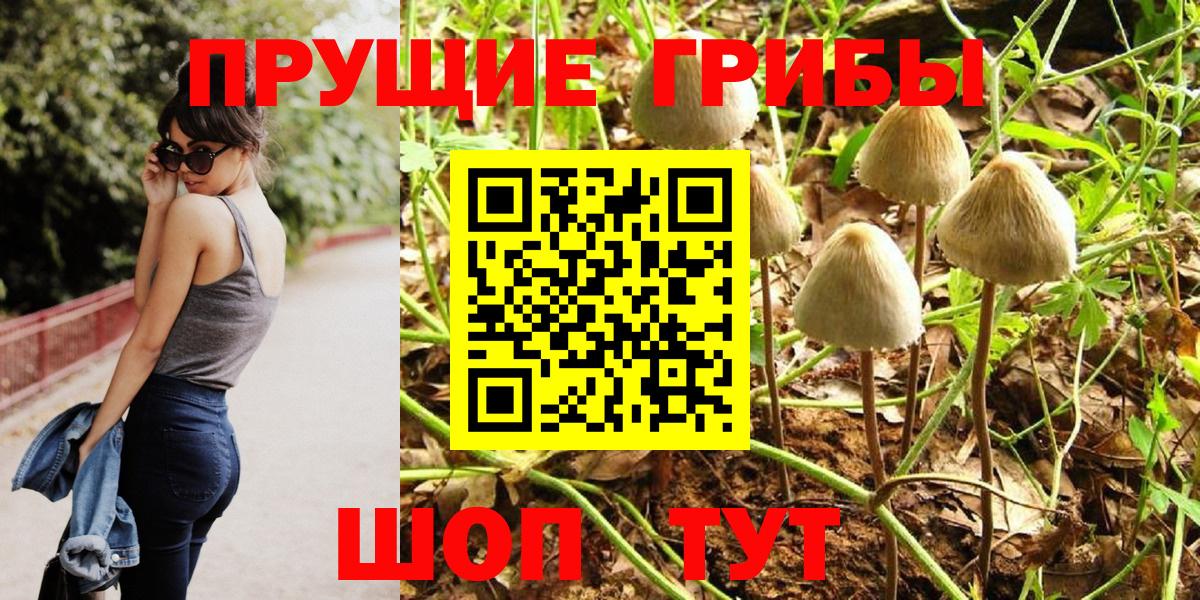 Псилоцибиновые грибы ЛСД  Галлюциногенные грибы MAGIC MUSHROOMS  Вход с VPN  Майкоп 