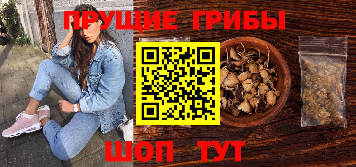 Галлюциногенные грибы GOLDEN TEACHER Майкоп