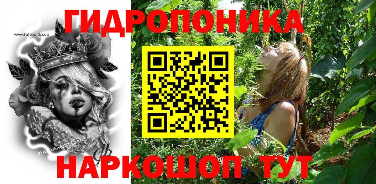 Конопля индика  Вход с VPN  Бошки марихуана OG Kush  Канабис OG Kush  Майкоп 